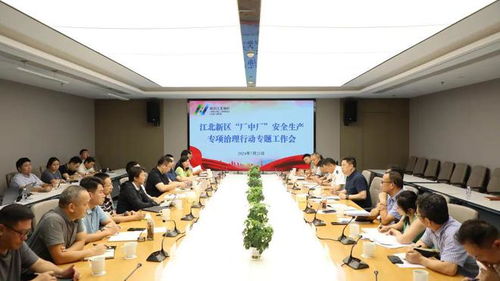 新區召開“廠中廠”安全生產專項治理行動專題工作會